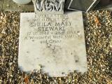 image of grave number 679318